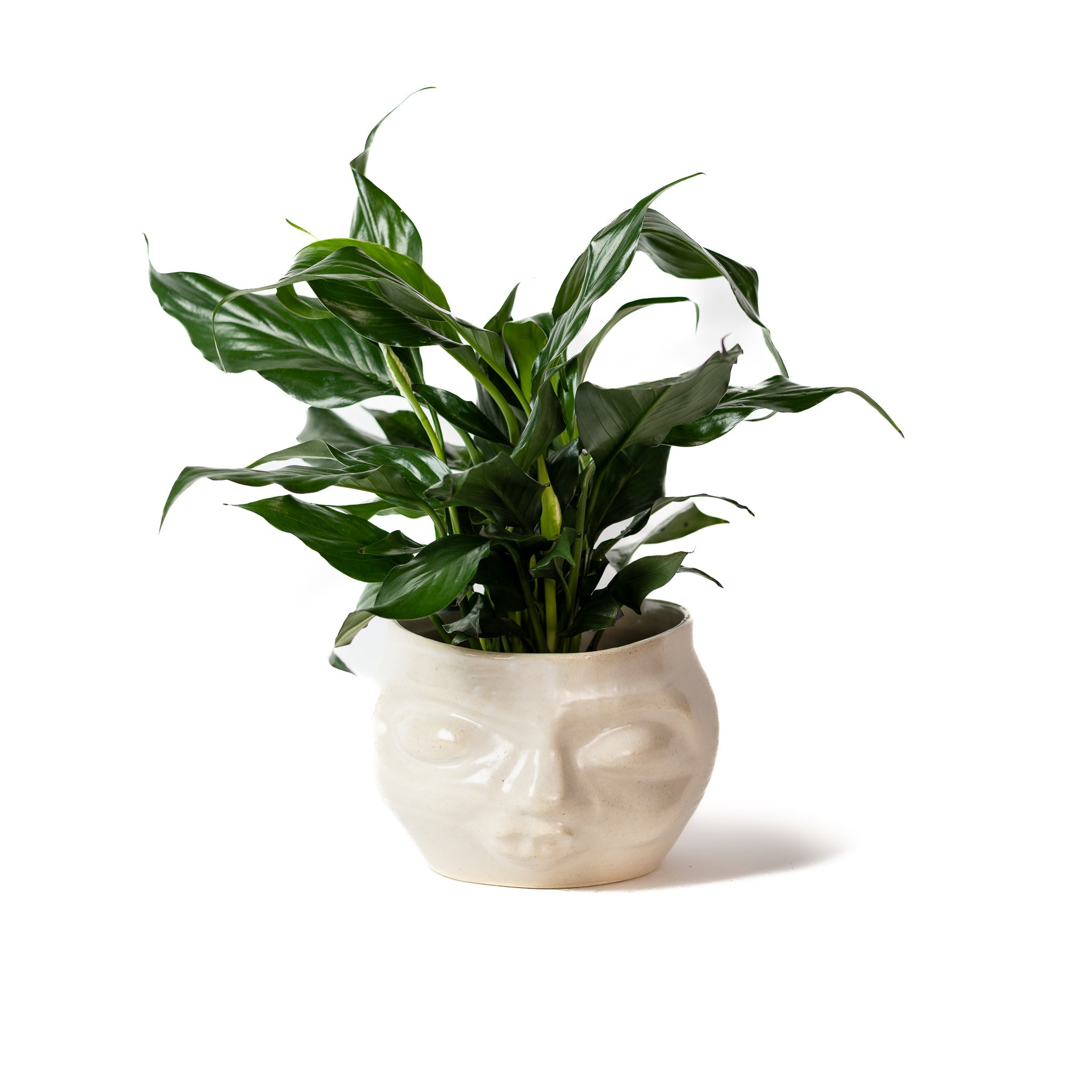 Whimsy Collection | Sarah Sunshine Pottery