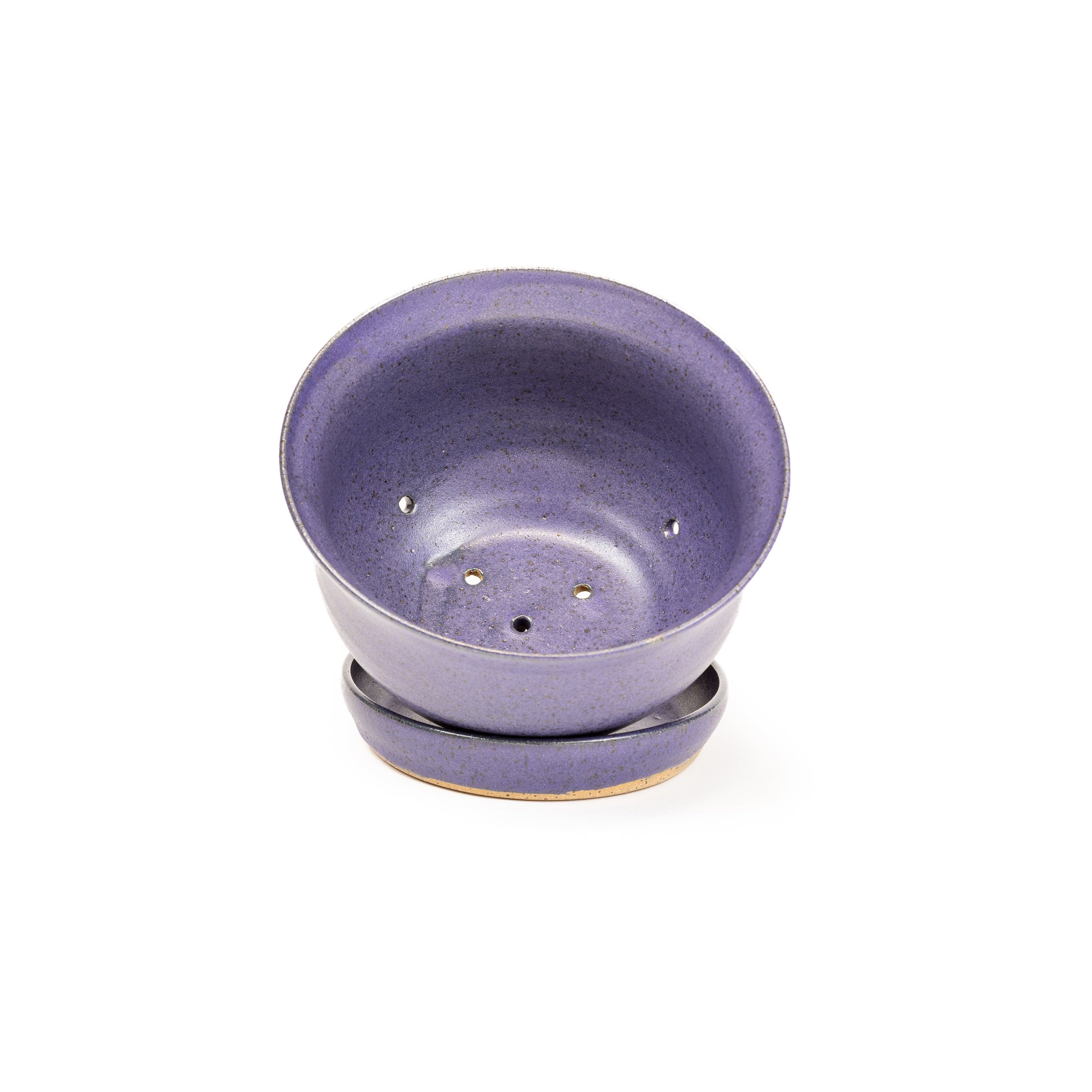Berry Bowl - Purple