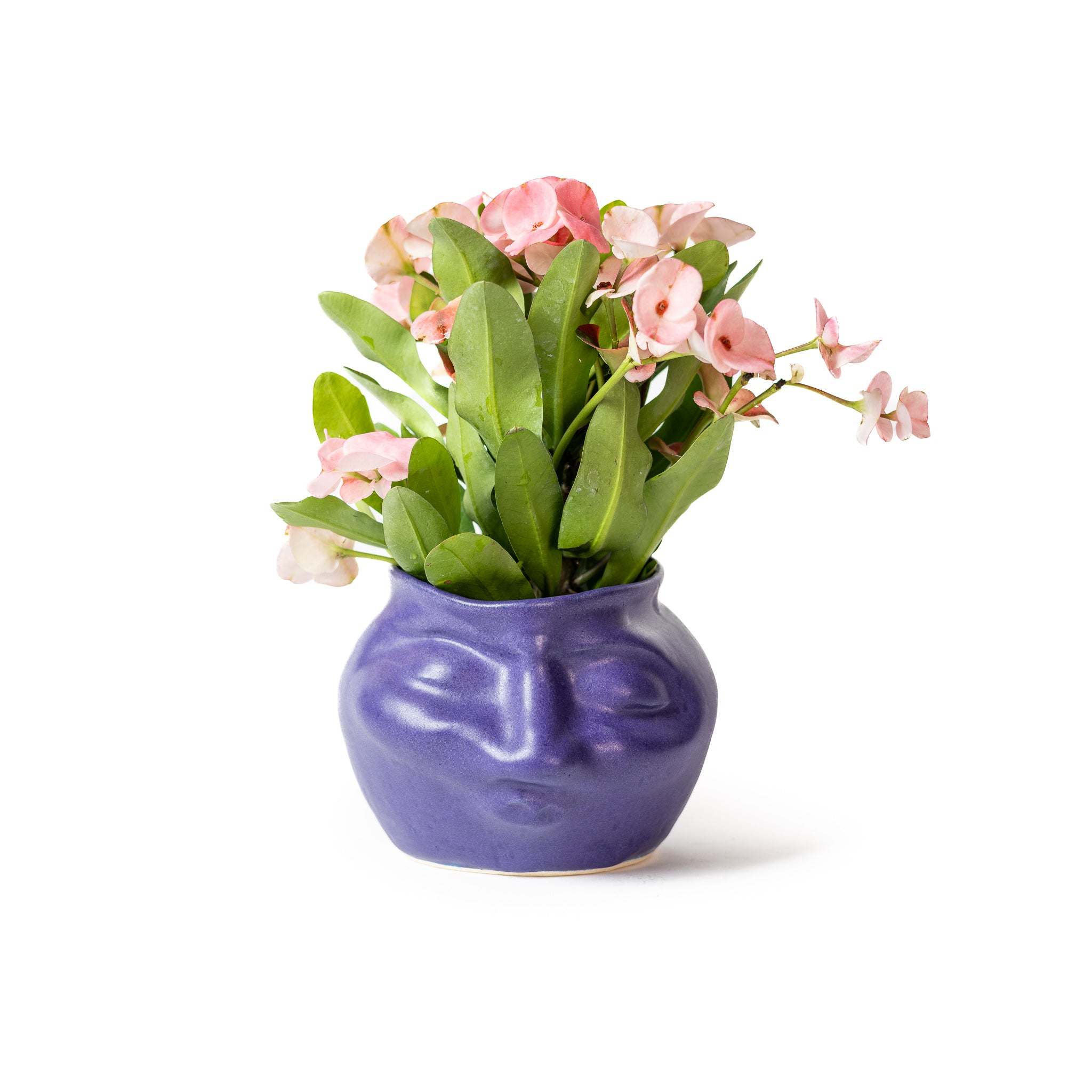 Face Pot - Purple