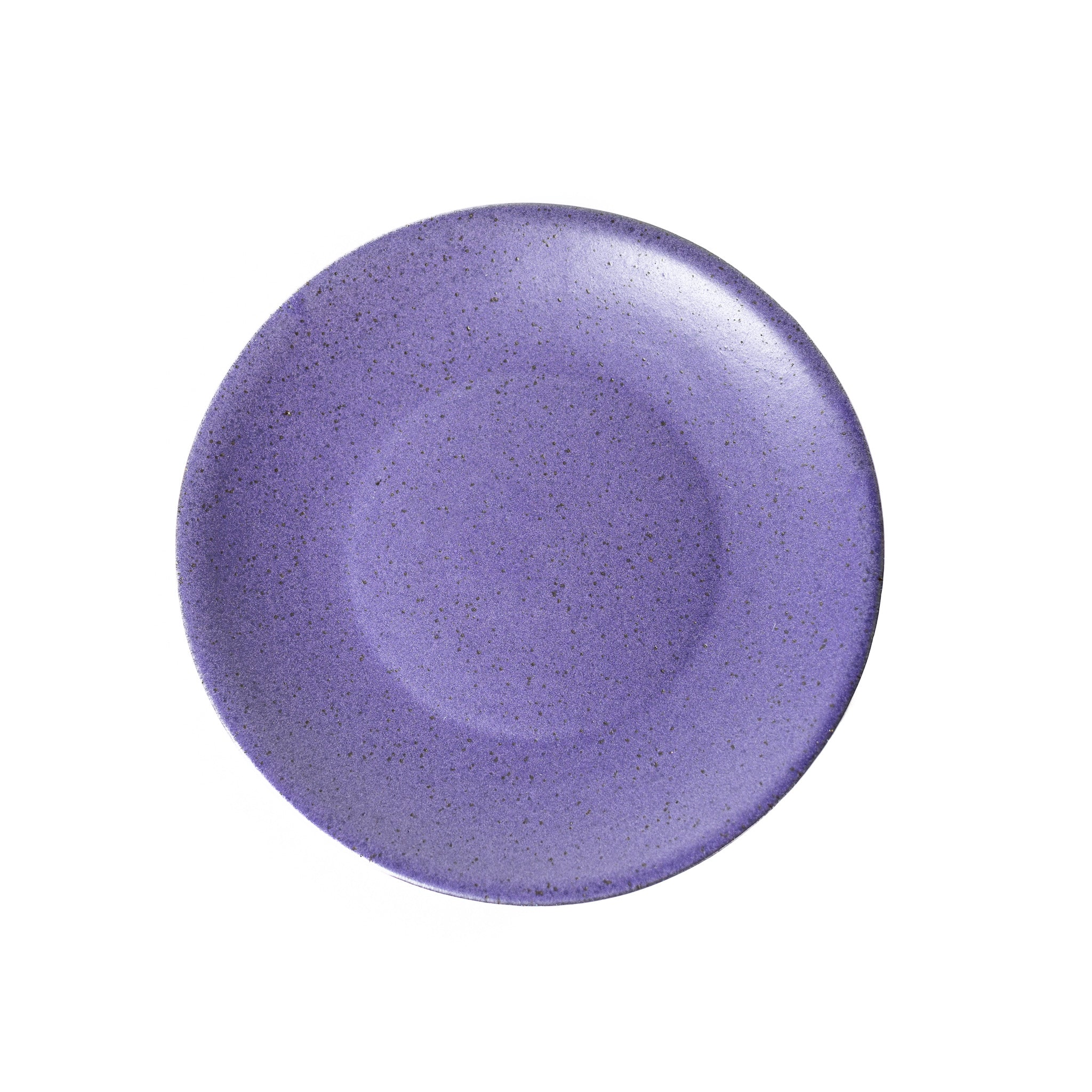Lunch Plate - Purple