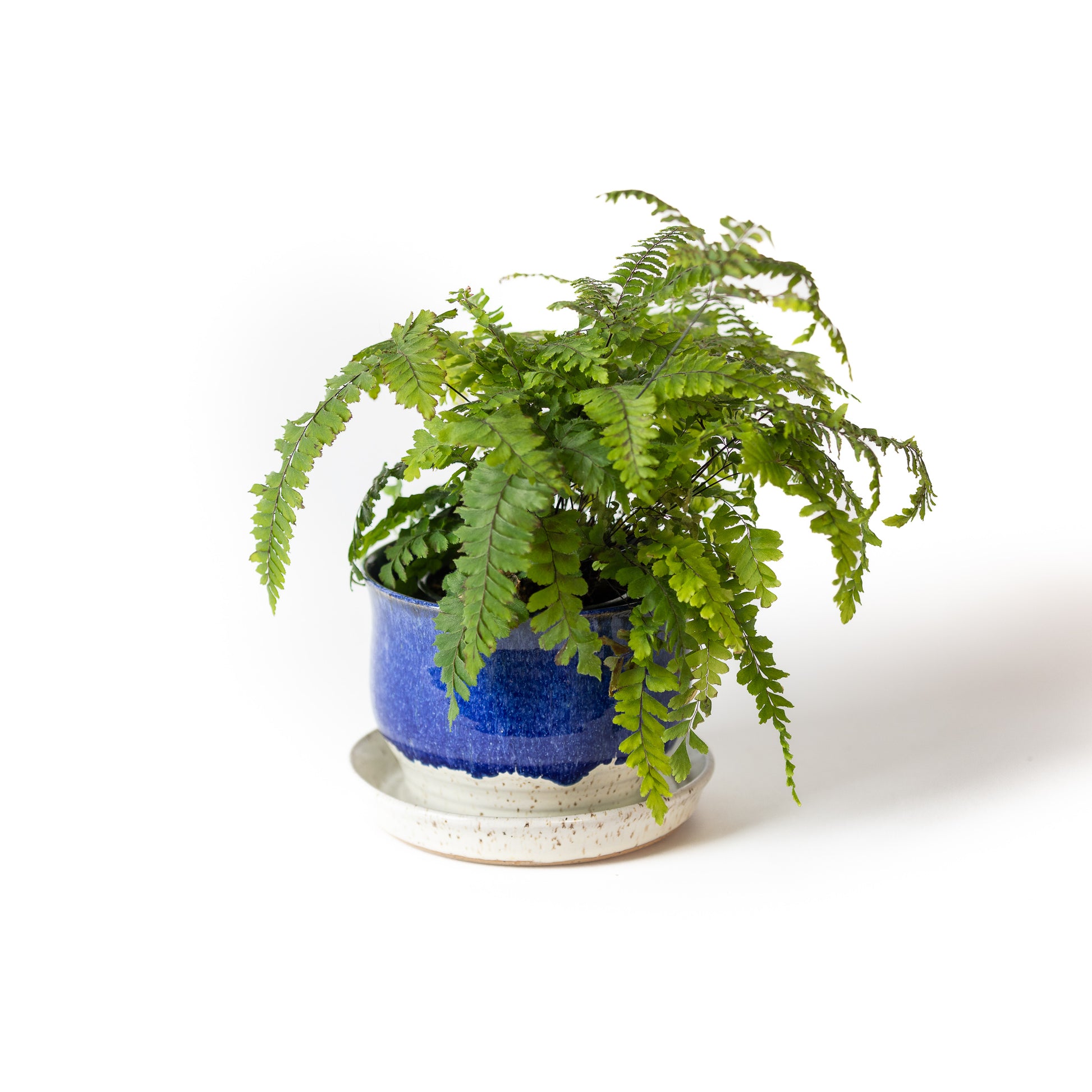 Planter - Blue Ridge