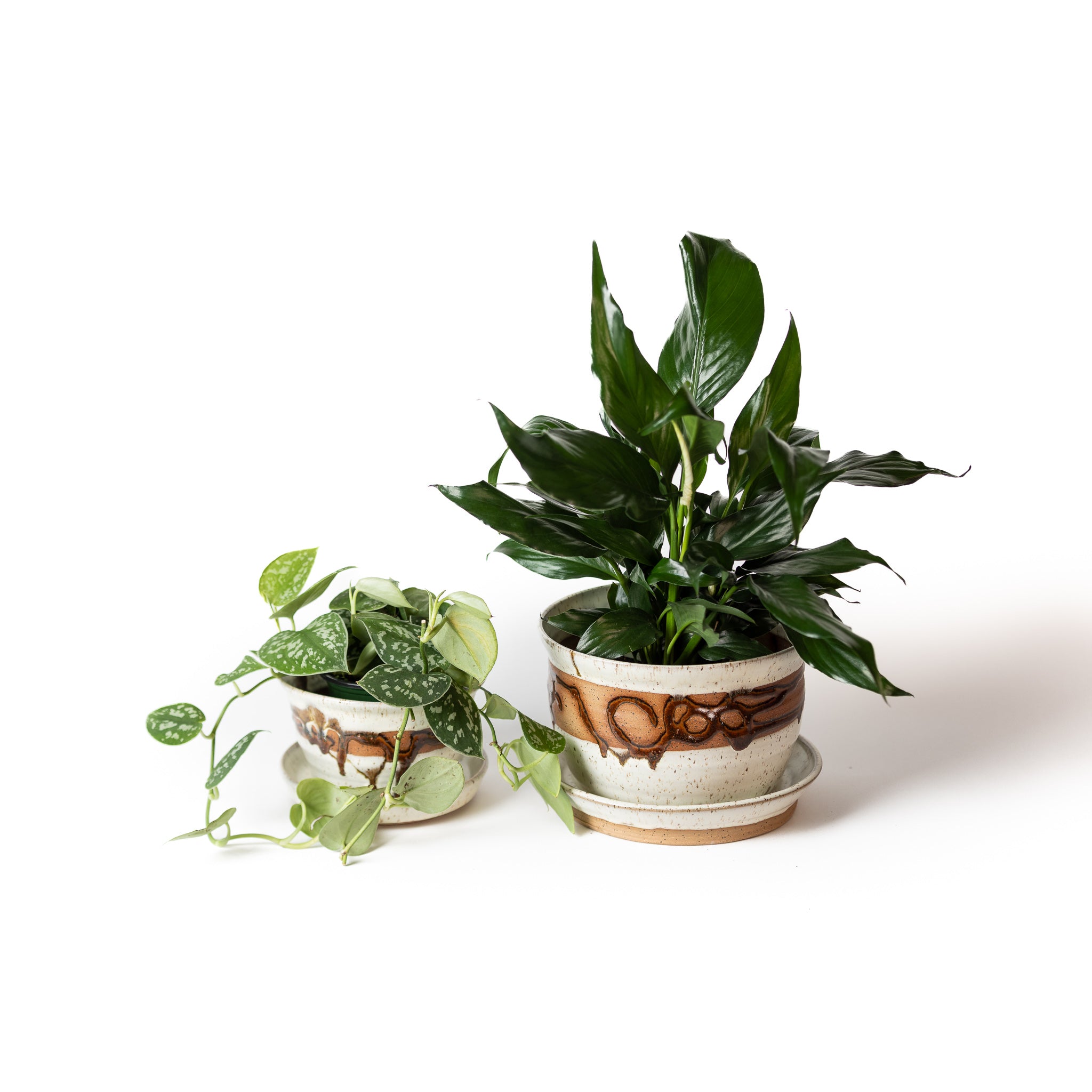 Planter - White Pine